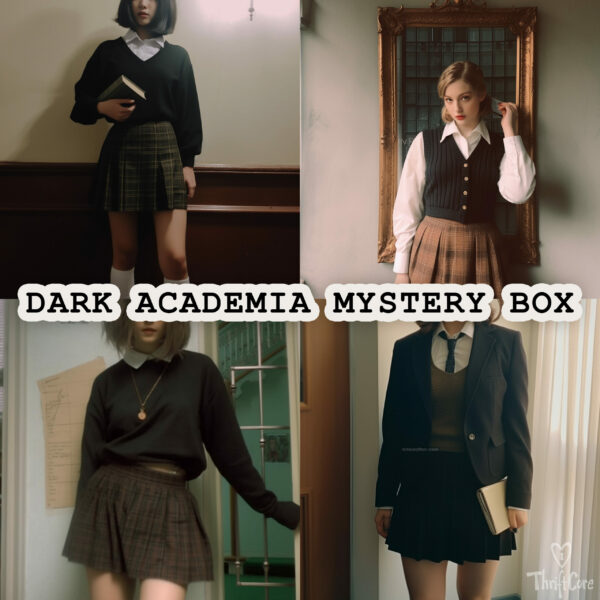 Dark Academia Thrifted Vintage Mystery Box