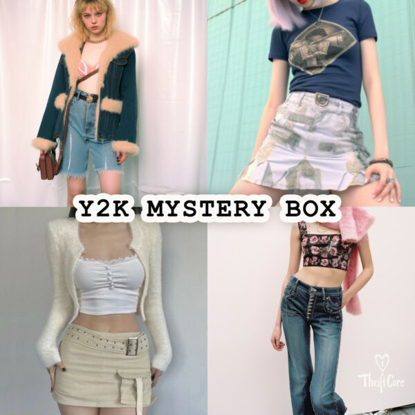 Y2K Thrifted Vintage Mystery Box