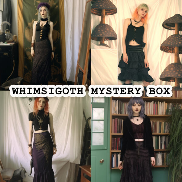 Whimsigoth Thrifted Vintage Mystery Box