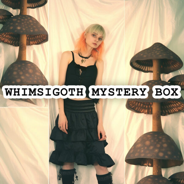 Whimsigoth Thrifted Vintage Mystery Box - Image 2