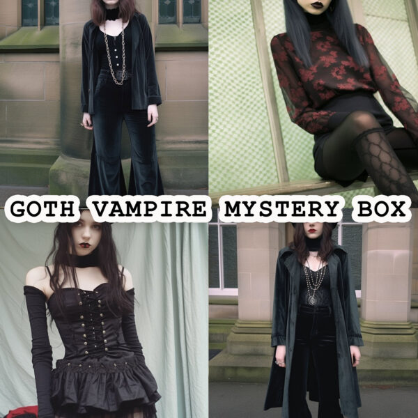 Vampire Goth Thrifted Vintage Mystery Box